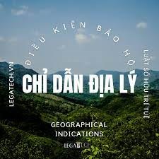 Thời hạn bảo hộ chỉ dẫn địa lý